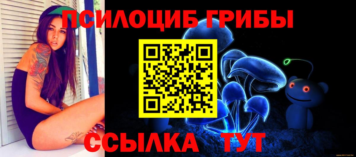 Галлюциногенные грибы Psilocybe  где продают   Рубцовск  Вход с VPN 
